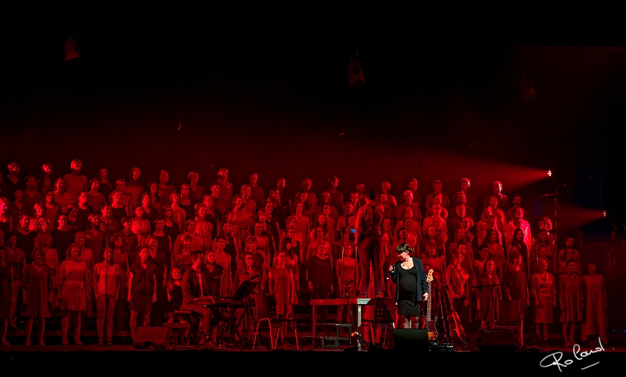 a_DSC2478_DxOb.jpg