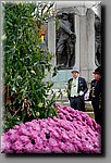 a_DSC2529_DxOb.jpg
