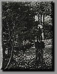 aDSC_4477b.JPG