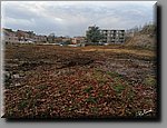 aIMG_20191219_154332.jpg