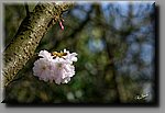 aDSC_00112bbcb.jpg