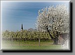 a_DSC5396b.JPG