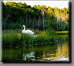 a_DSC0404b.jpg