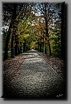 a_DSC2394_DxOb.jpg