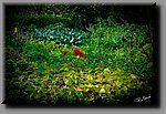 a_DSC2424_DxOb.jpg