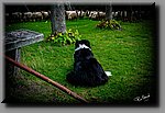 a_DSC2443_DxOb.jpg