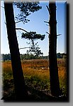 a_DSC8110b.JPG