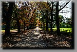 a_DSC8139b.JPG
