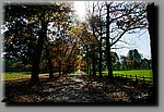 a_DSC8141b.JPG