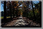a_DSC8144b.JPG