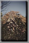a_DSC8148b.JPG