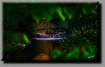 a_DSC8173b.JPG