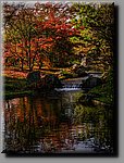 a_DSC8182b.JPG