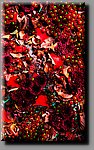 a_DSC8200b.JPG