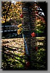 a_DSC8211b.JPG