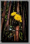 a_DSC8228b.JPG