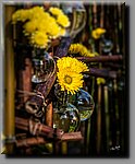 a_DSC8234b.JPG