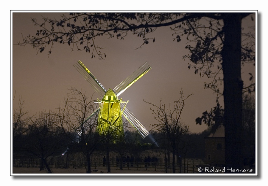 DSC_7027bck.JPG