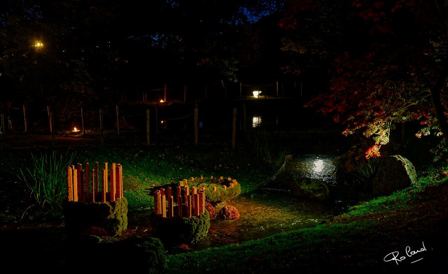 a_DSC3159_DxOb.JPG