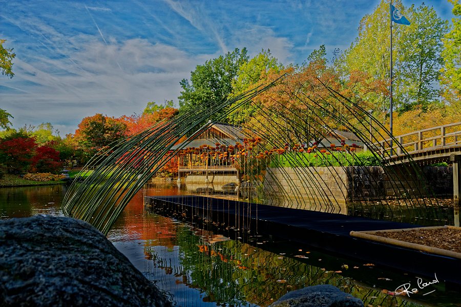 a_DSC1967_DxO_DxO.JPG