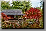 a_DSC1841_DxO.JPG