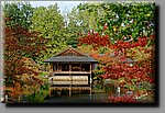 a_DSC1910_DxO.JPG