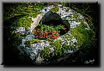 a_DSC2135b.jpg