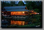 a_DSC2161b.jpg