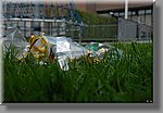 bDSC_4496b.JPG