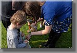 bDSC_4567b.JPG