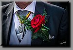 a_DSC2814b.JPG