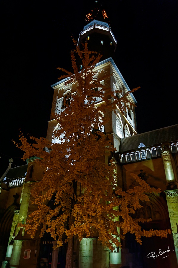 a_DSC2900_DxOb.jpg
