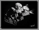 a_DSC4151bb.JPG