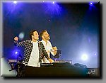DSC_4461.jpg