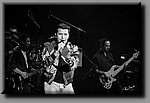 DSC_4229.jpg