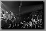 DSC_4264.jpg