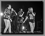 DSC_4293.jpg