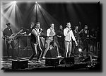 DSC_4384.jpg