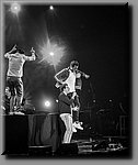 DSC_4476.jpg