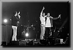 DSC_4480.jpg