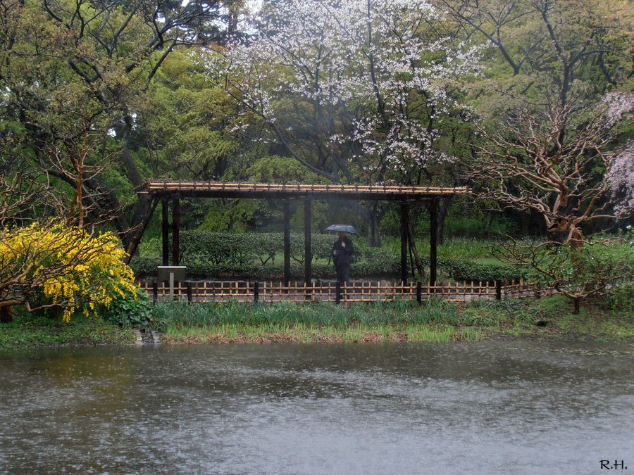 a03P1310161b.JPG