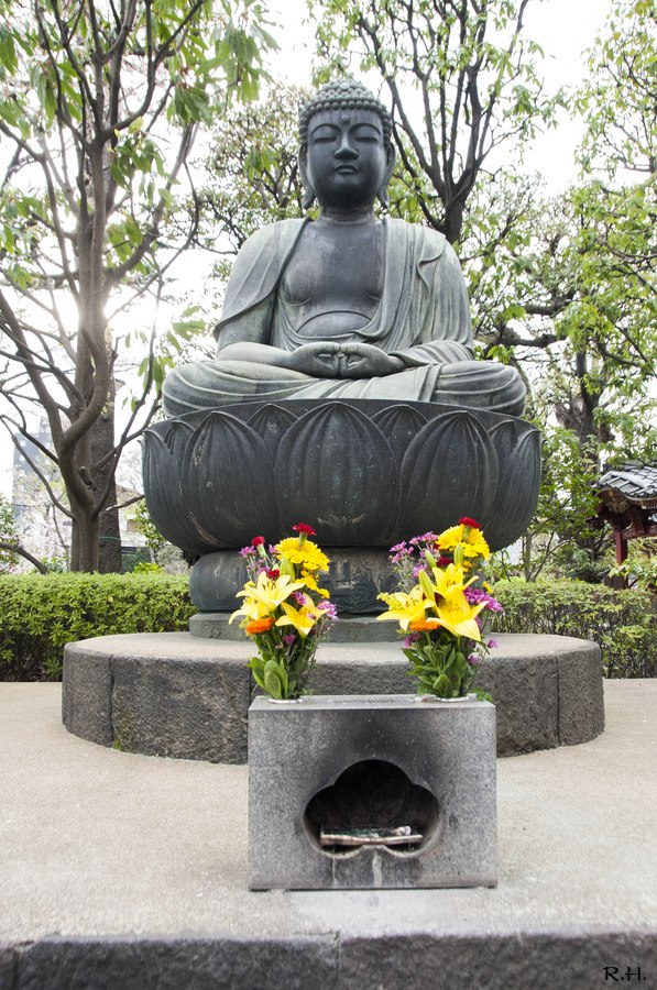 a04DSC_5816b.JPG