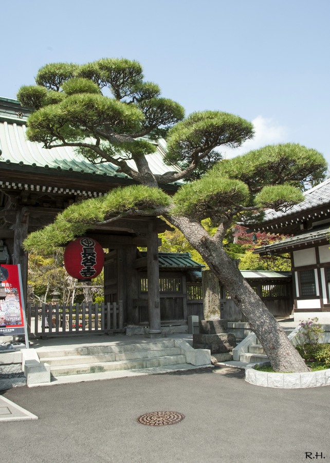 a05DSC_5840b.JPG