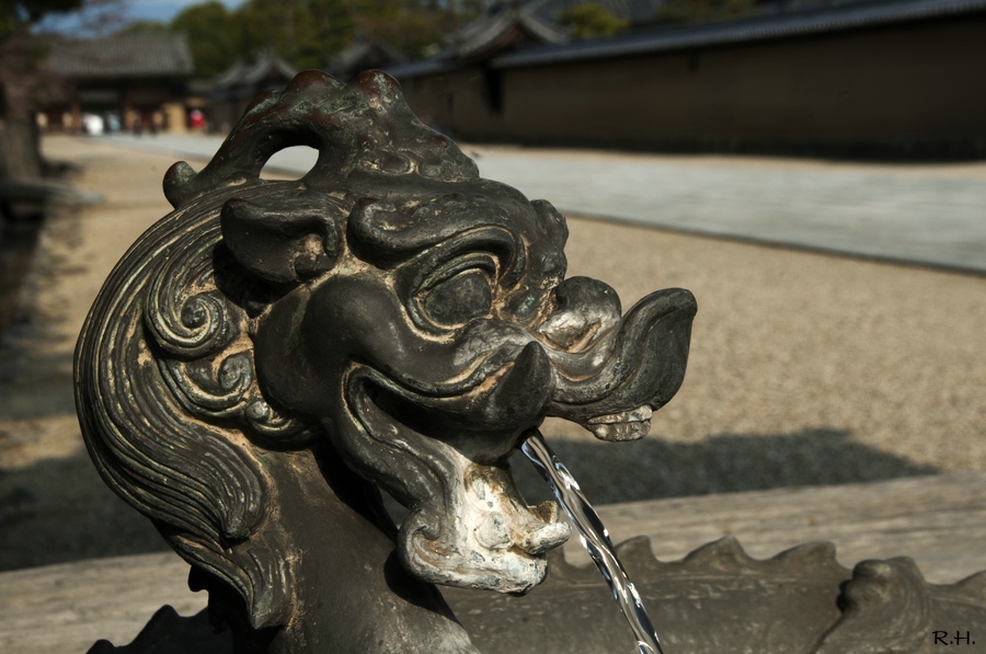 a09DSC_7890b.JPG