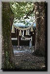 a04DSC_5458b.JPG