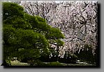 a08DSC_7204b.JPG