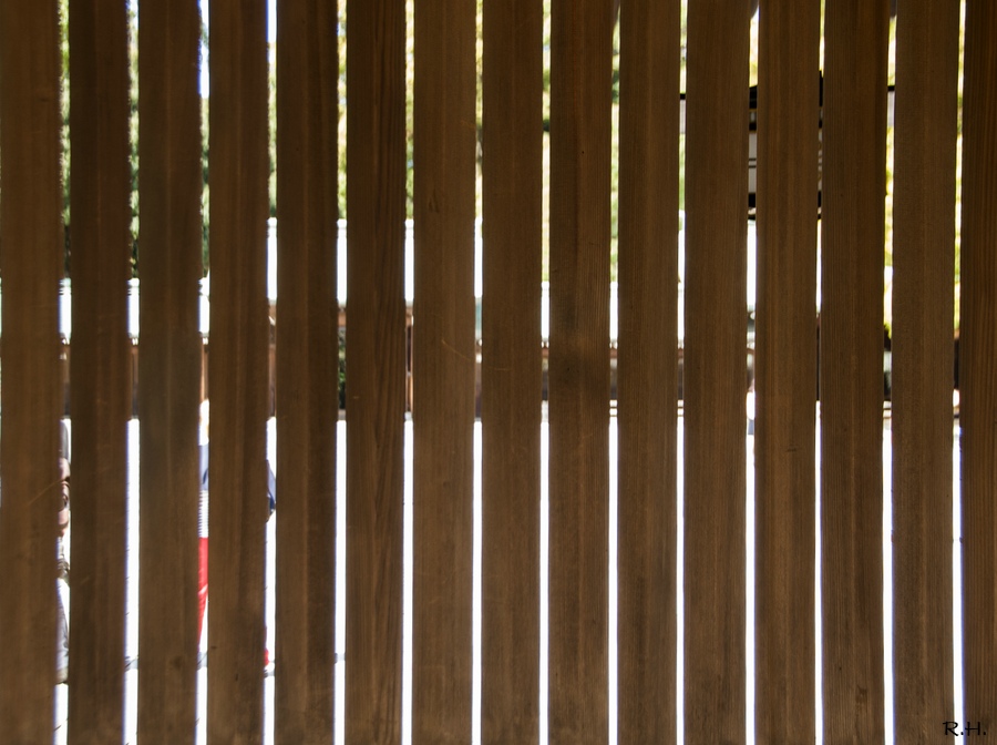 a04DSC_5495b.JPG