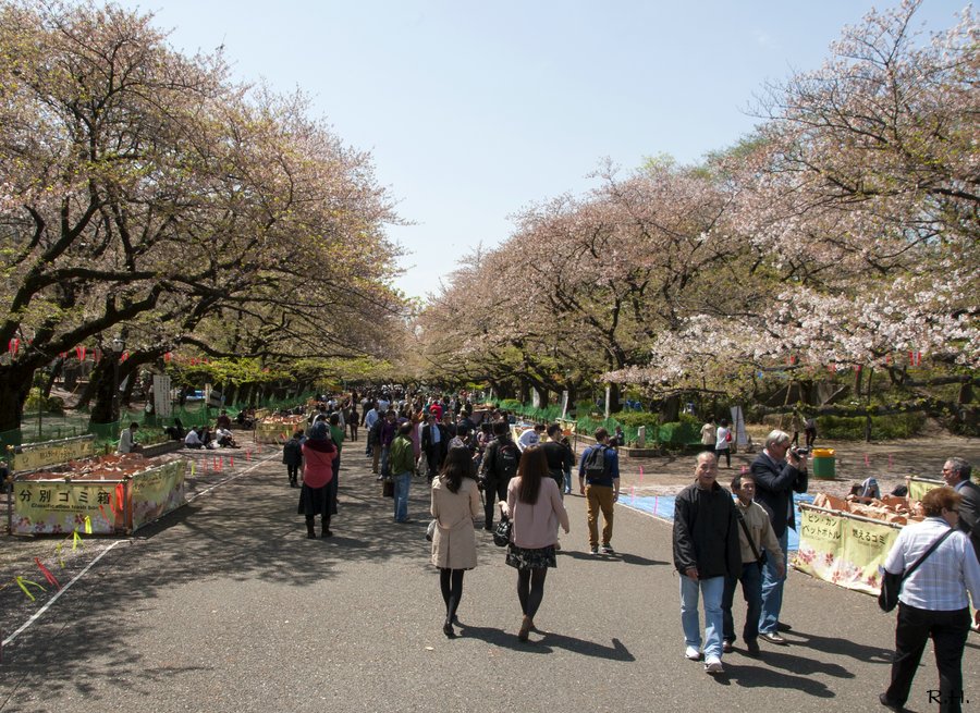 a04DSC_5552b.JPG