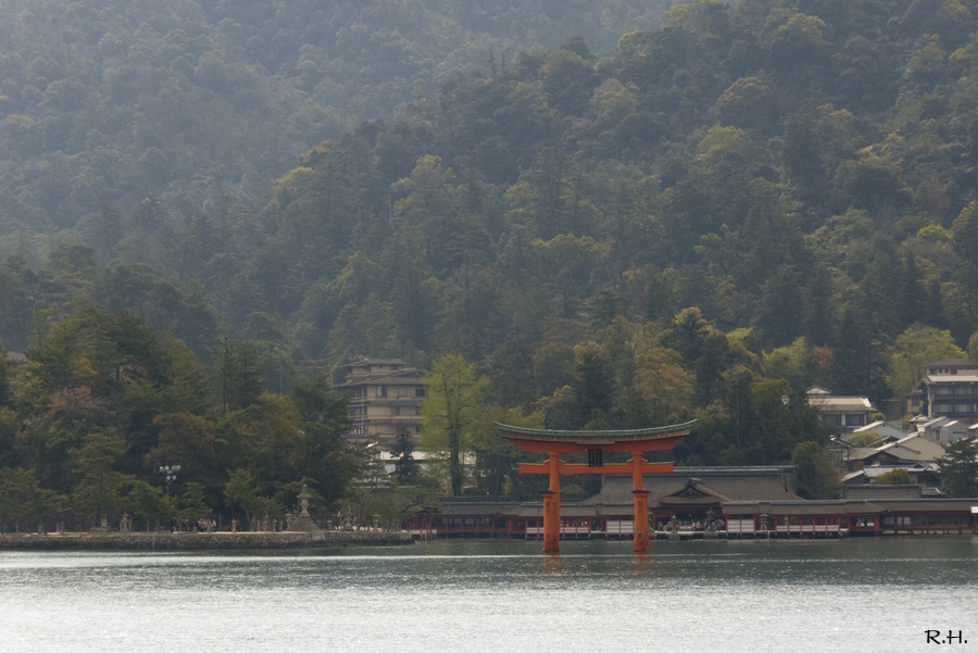 a12P1020361b.JPG