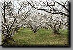 a07DSC_6920b.JPG